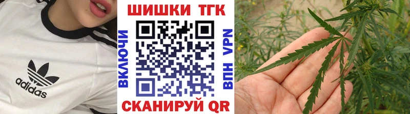 Магазины продажи наркотиков Николаевск Каннабис СК Меф мяу мяу Кокаин